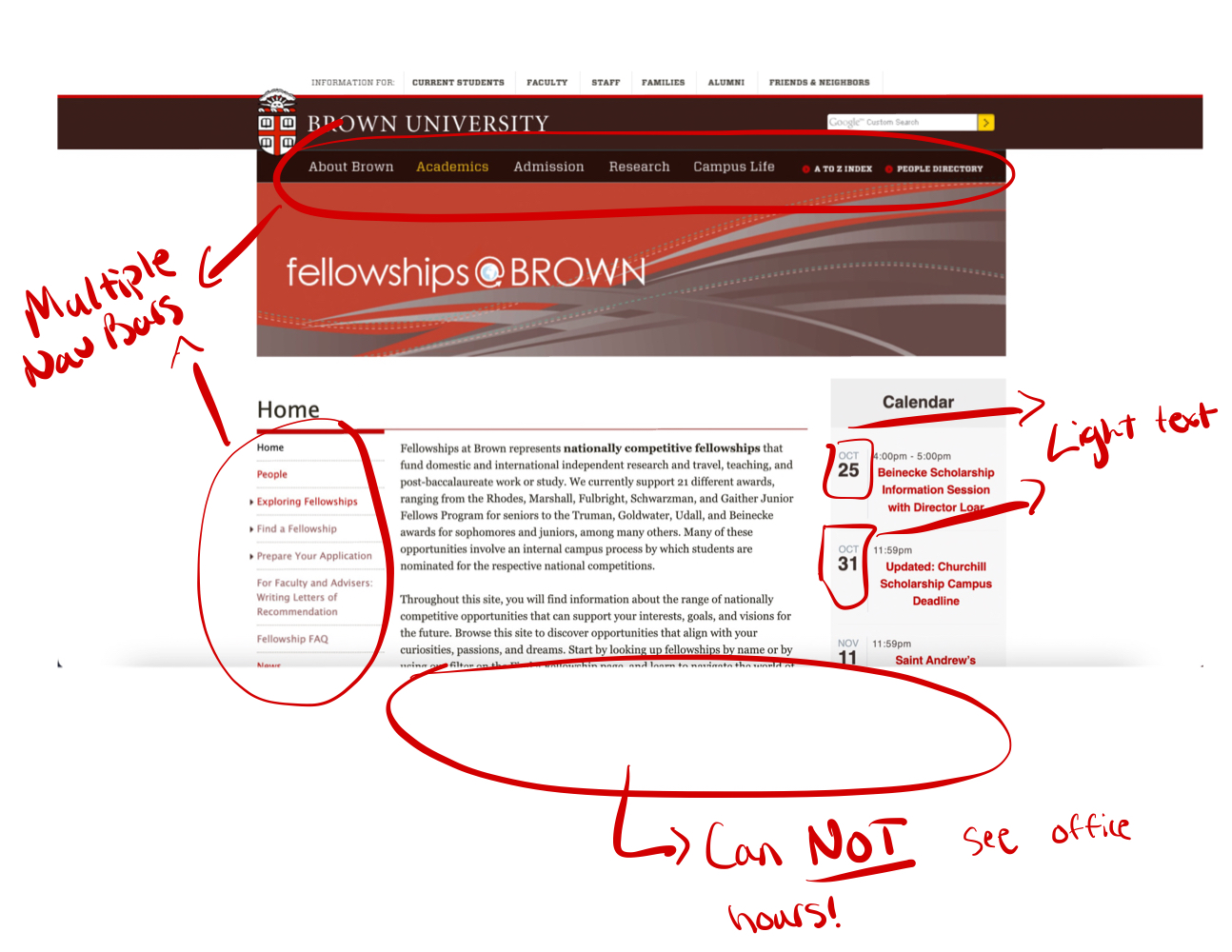 Image of the original website with the usability concerns highlighted 